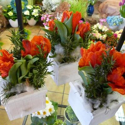 Blumengeschäft bei Bergisch Gladbach Über uns