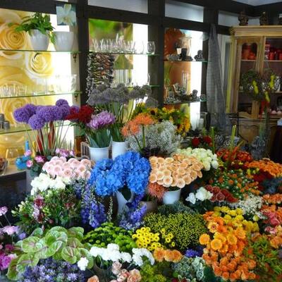 Blumengeschäft bei Bergisch Gladbach Über uns