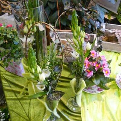 Blumengeschäft bei Bergisch Gladbach Über uns